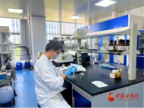 蘭州高新區 以生物醫藥為筆，重繪西北產業基因圖譜的技術服務新篇章